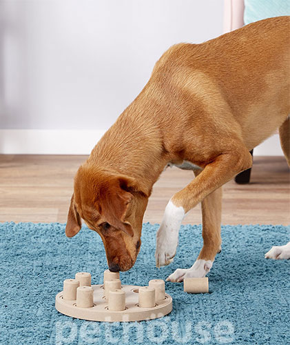 Nina Ottosson Dog Smart Composite Головоломка для собак, фото 2