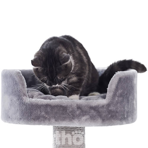 Nobby Игровая когтеточка-комплекс "Melo", серая