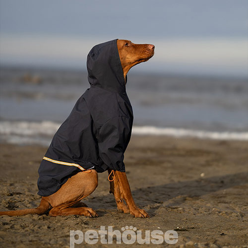 Noble Pet Moss Blue Дощовик для собак, синій