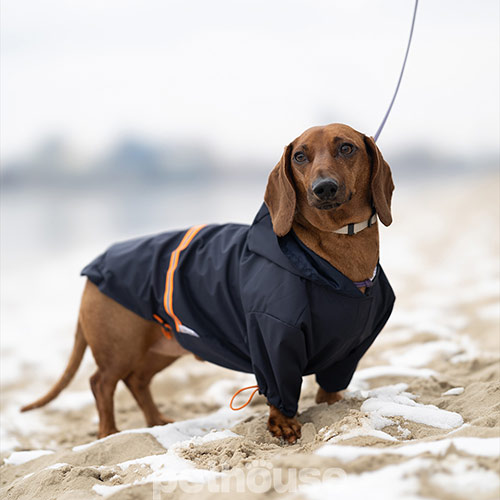 Noble Pet Moss Blue Long Подовжений дощовик для собак, синій Noble Pet Moss Blue Long Подовжений дощовик для собак, синій