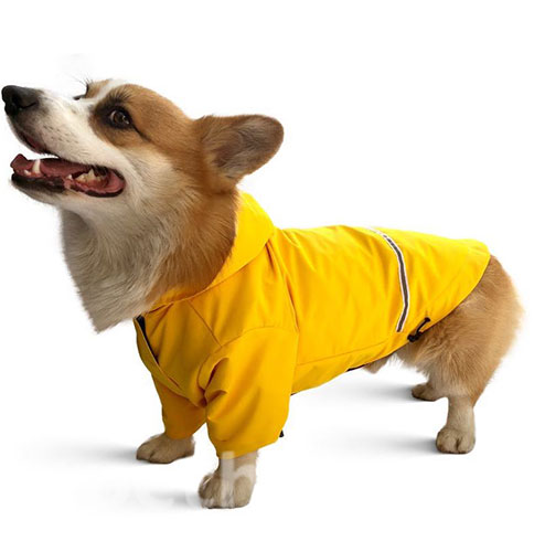 Noble Pet Moss Yellow Long Удлиненный дождевик для собак, желтый, фото 3