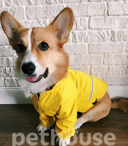 Noble Pet Moss Yellow Long Подовжений дощовик для собак, жовтий, фото 4