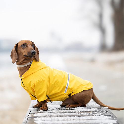 Noble Pet Moss Yellow Long Подовжений дощовик для собак, жовтий Noble Pet Moss Yellow Long Подовжений дощовик для собак, жовтий