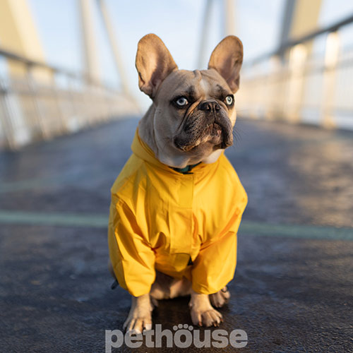 Noble Pet Moss Yellow Short Широкий дощовик для собак, жовтий Noble Pet Moss Yellow Short Широкий дощовик для собак, жовтий