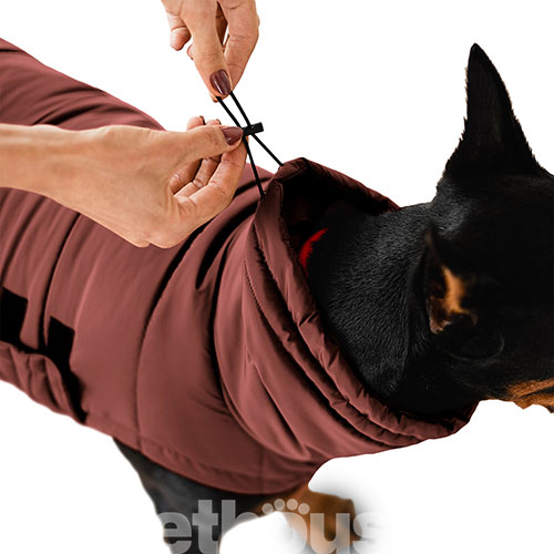 Noble Pet Bobby Terracotta Пуховик для собак, теракотовий, фото 4