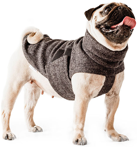 Noble Pet Patrick Grey Пальто для собак, сіре, фото 4