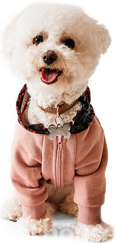 Noble Pet Franklin Powdery Кофта-худі для собак, пудрова, фото 5