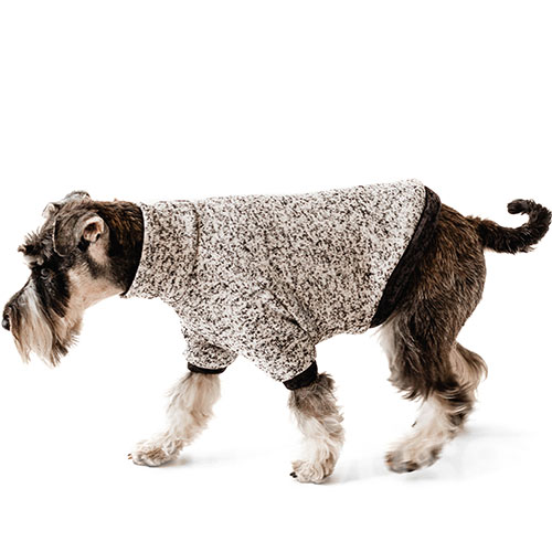 Noble Pet Frederick Grey Світшот з флісом для собак, сірий, фото 3