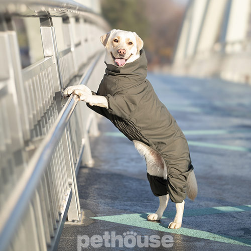 Noble Pet Travis Khaki Комбинезон для собак, хаки