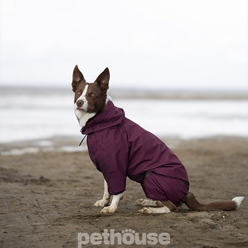 Noble Pet Travis Grayish Red Комбинезон для собак, бордовый