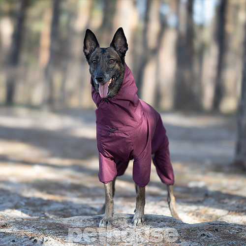 Noble Pet Travis Grayish Red Комбинезон для собак, бордовый