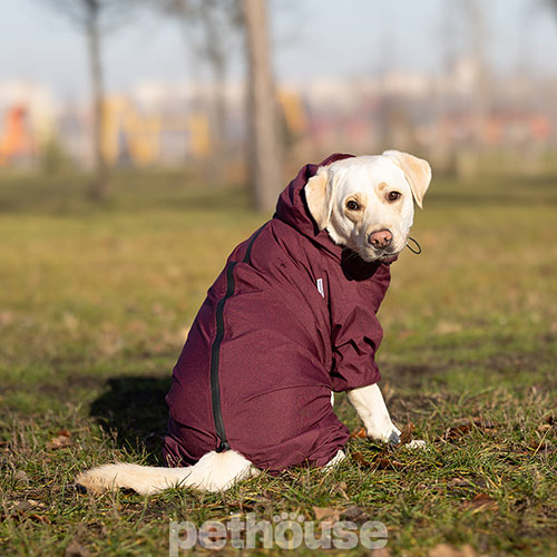 Noble Pet Travis Grayish Red Комбинезон для собак, бордовый