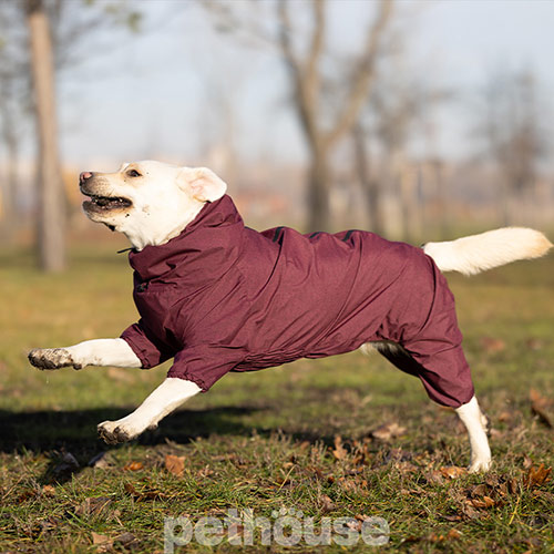 Noble Pet Travis Grayish Red Комбинезон для собак, бордовый