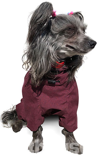 Noble Pet Travis Grayish Red Комбінезон для собак, бордовий, фото 3
