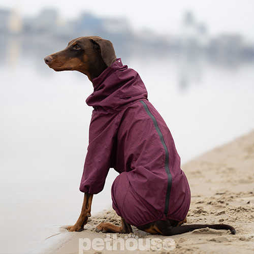 Noble Pet Travis Grayish Red Комбинезон для собак, бордовый