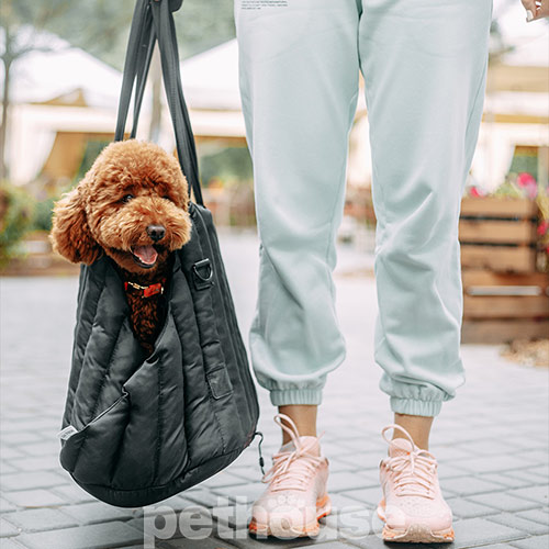 Noble Pet Aria Black Сумка-переноска для кошек и собак