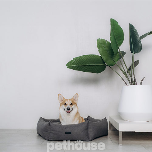 Noble Pet Paul Antracite М'який лежак з бортами для собак і котів Noble Pet Paul Antracite М'який лежак з бортами для собак і котів