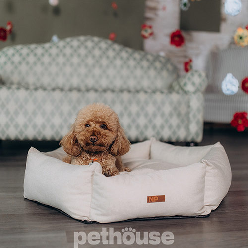 Noble Pet Paul Sand М'який лежак з бортами для собак і котів