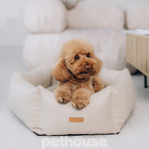 Noble Pet Paul Sand М'який лежак з бортами для собак і котів