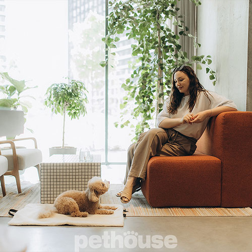 Noble Pet Travel Antracite Функциональная сумка-коврик