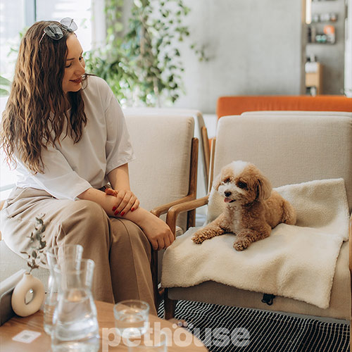 Noble Pet Travel Antracite Функциональная сумка-коврик