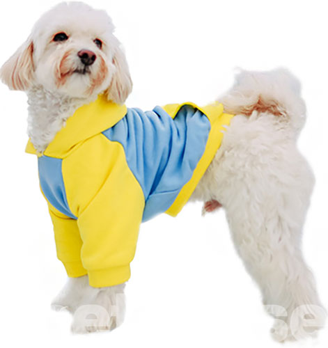 Noble Pet Franklin Bravery Blue & Yellow Худі для собак, блакитно-жовте