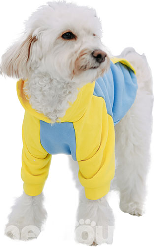 Noble Pet Franklin Bravery Blue & Yellow Худи для собак, голубо-желтое, фото 2