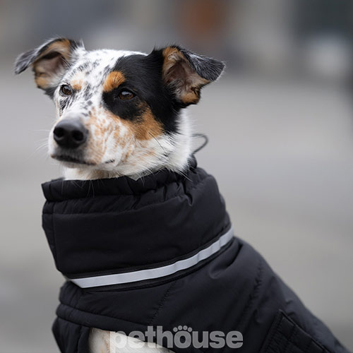 Noble Pet Bobby Black Пуховик для собак, чорний