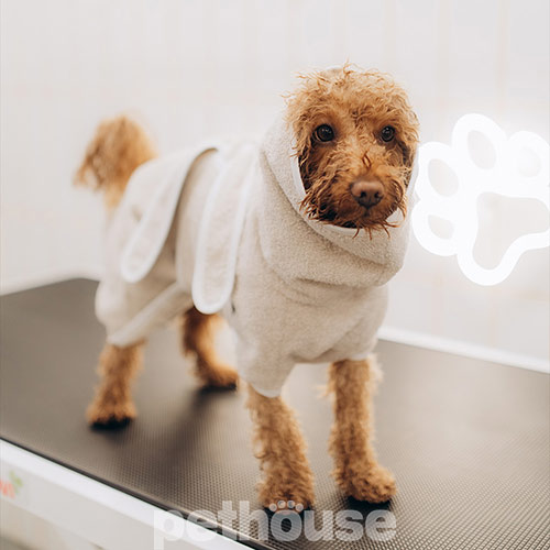 Noble Pet Delmar Набір з халатом і рушником для собак Noble Pet Delmar Набір з халатом і рушником для собак