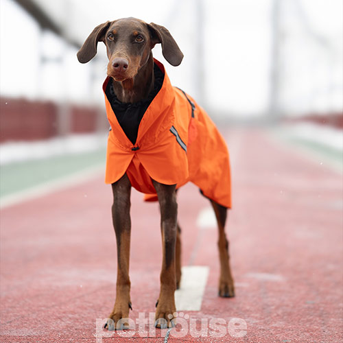 Noble Pet Rio Orange Дощовик для собак, помаранчевий Noble Pet Rio Orange Дощовик для собак, помаранчевий