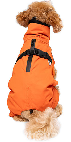 Noble Pet Rio Orange Дощовик для собак, помаранчевий