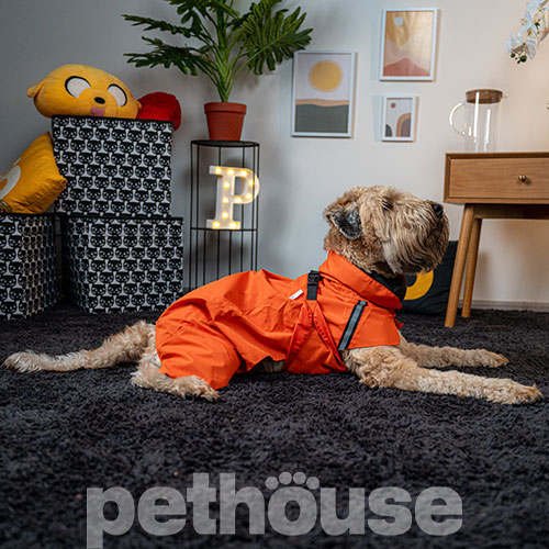 Noble Pet Rio Orange Дощовик для собак, помаранчевий