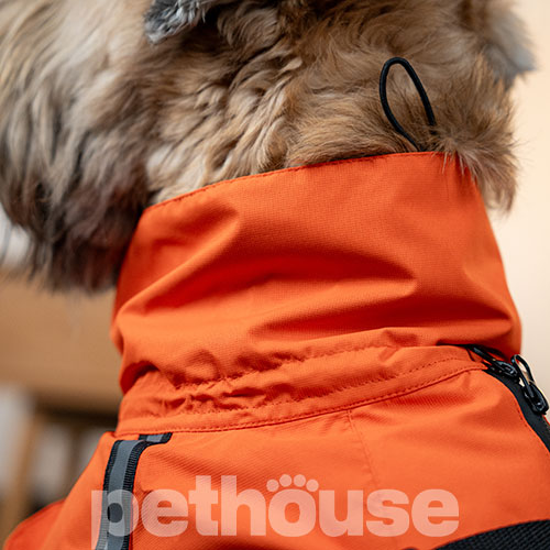 Noble Pet Rio Orange Дощовик для собак, помаранчевий