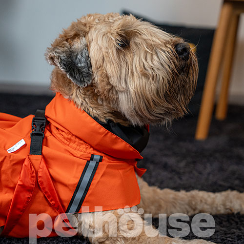 Noble Pet Rio Orange Дощовик для собак, помаранчевий