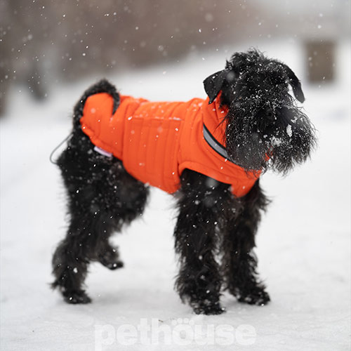 Noble Pet Bobby Orange Пуховик для собак, оранжевый