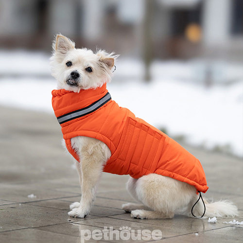 Noble Pet Bobby Orange Пуховик для собак, оранжевый