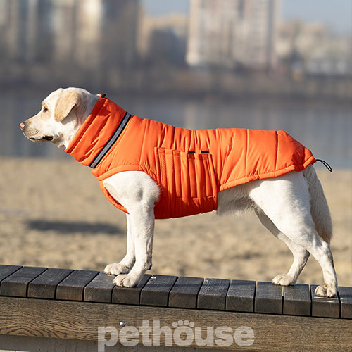 Noble Pet Bobby Orange Пуховик для собак, оранжевый