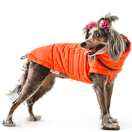 Noble Pet Bobby Orange Пуховик для собак, помаранчевий