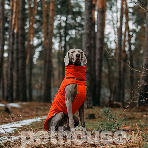 Noble Pet Bobby Orange Пуховик для собак, помаранчевий