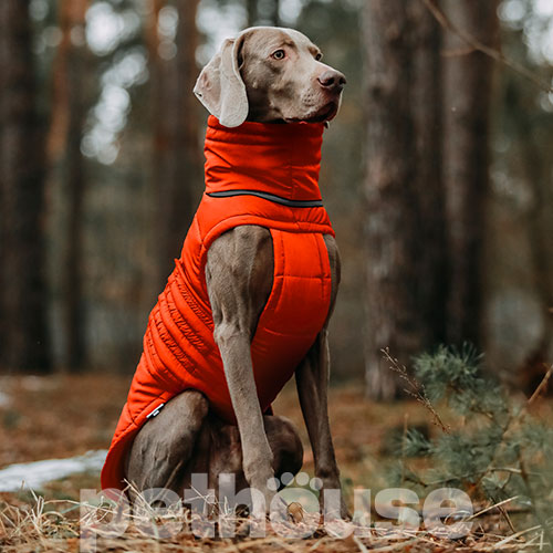 Noble Pet Bobby Orange Пуховик для собак, помаранчевий