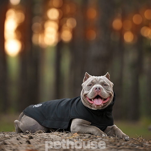 Noble Pet Softshell Ostin Navy Жилет для собак, черный