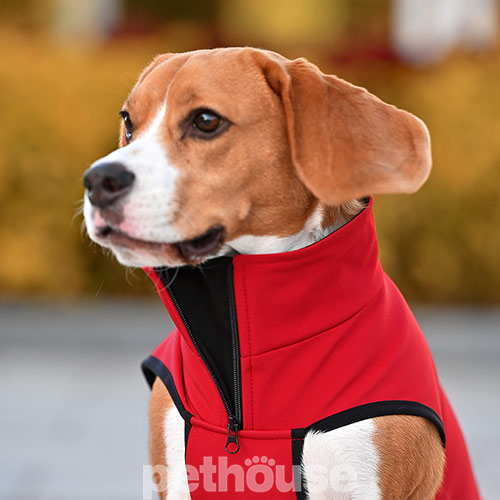Noble Pet Softshell Ostin Navy Жилет для собак, червоний