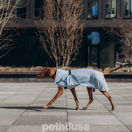 Noble Pet Rio Light Blue Дождевик для собак, голубой