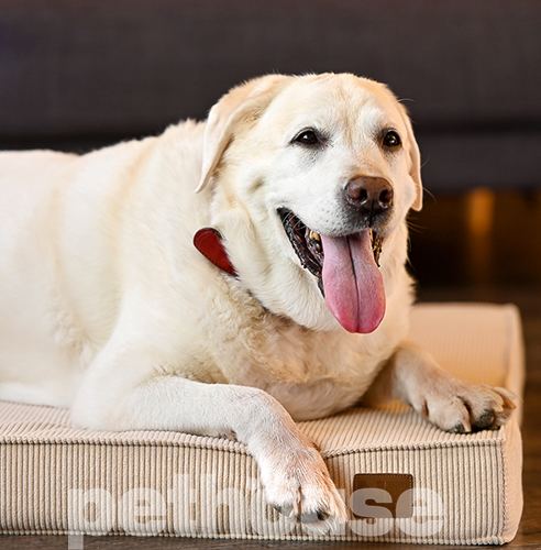 Noble Pet Nolan Velvet Sand Матрас для собак