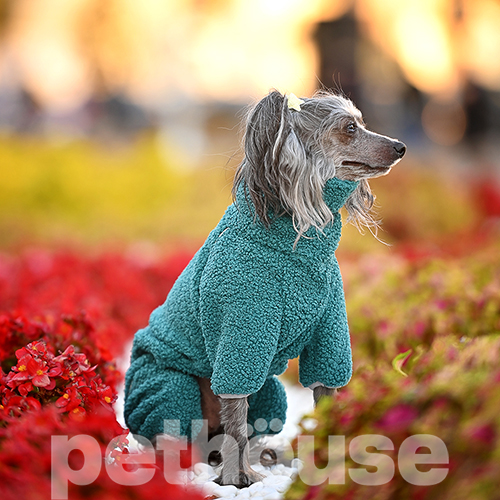 Noble Pet Hunter Azur Комбинезон для собак, бирюзовый