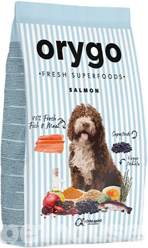 Orygo Dog Adult Salmon & Blueberries