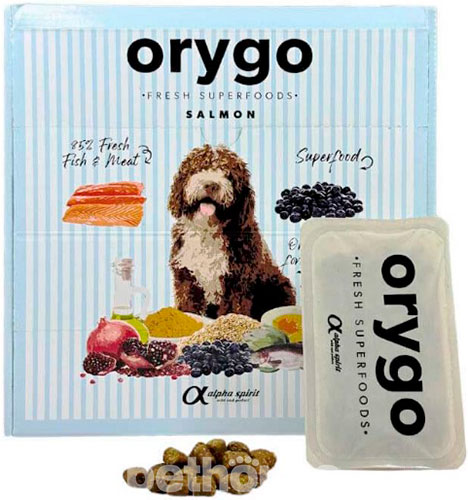 Orygo Dog Adult Salmon & Blueberries