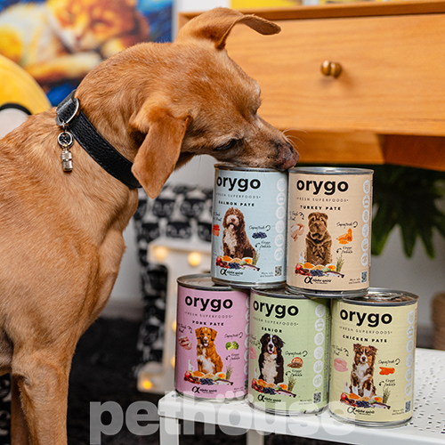 Orygo Dog Adult Chicken & Carrots Pate