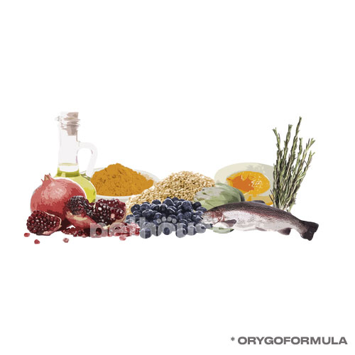 Orygo Dog Adult Turkey & Pumpkin Pate