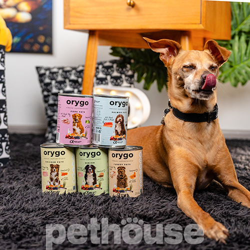 Orygo Dog Adult Turkey & Pumpkin Pate
